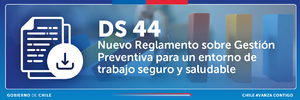 DS44 - Nuevo reglamento sobre gestión preventiva para un entorno de trabajo seguro y saludable