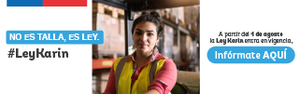 Acceso a información detallada sobre la Ley Karin
