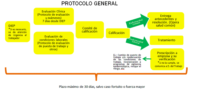 Prevención de riesgos laborales: Protocolo general Prevención de riesgos laborales: Protocolo general