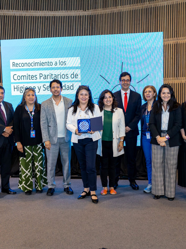 SUSESO: Noticias - Suseso reconoce a 10 Comités Paritarios del sector ...