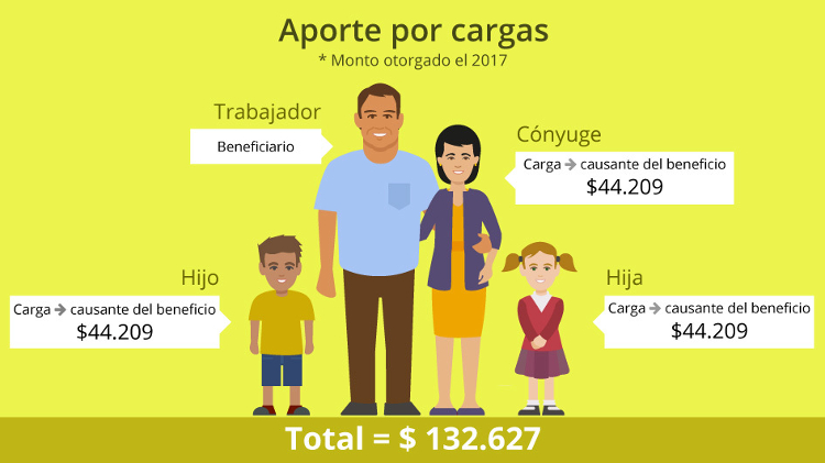 Montos otorgados por carga en 2017 Montos otorgados por carga en 2017