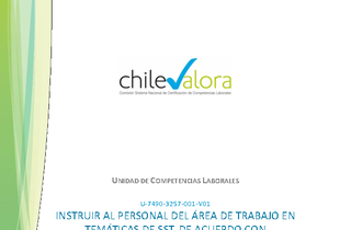 Unidad de Competencia Laboral 1 - Monitor de SST