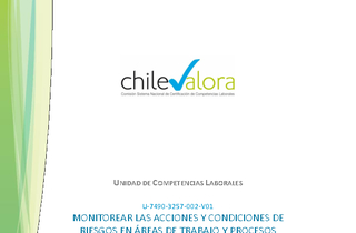 Unidad de Competencia Laboral 2 - Monitor de SST