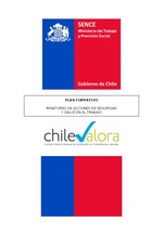 Plan Formativo Monitoreo de Acciones de SST