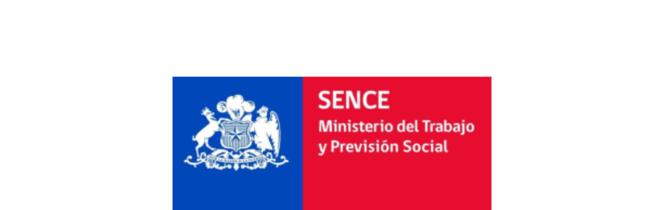 Plan Formativo Monitoreo de Acciones de SST