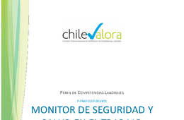 Perfil del Monitor de SST