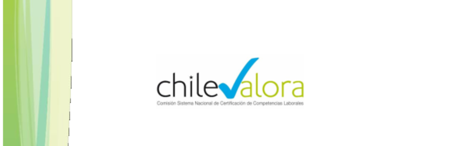 Perfil del Monitor de SST