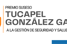 premio tucapel