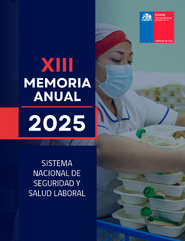 XIII Memoria anual sistema nacional de seguridad y salud laboral del año 2025