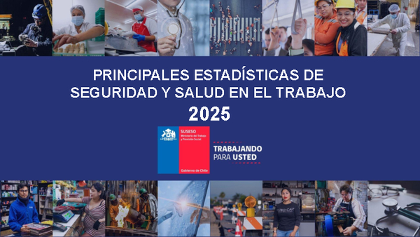 Estadísticas de Accidentabilidad 2025