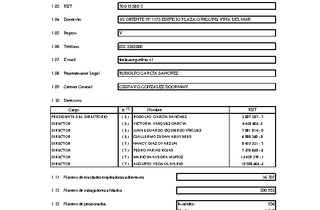 IST: Estados financieros individuales al 31 de diciembre de 2018