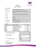 IST: Estados financieros individuales al 31 de diciembre de 2019