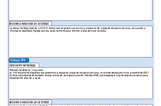 Informe de fiscalización 37-2022/IFE43