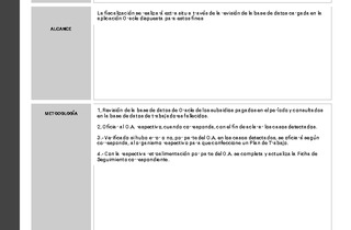 Informe de fiscalización 11-2024/IFE15