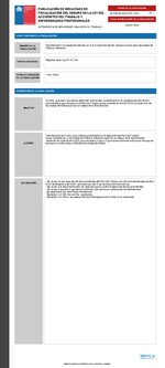 Informe de fiscalización 17-2024/IFE40