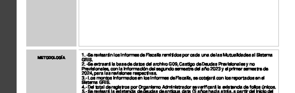 Informe de fiscalización 2024/IFE29