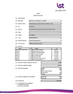 IST: Estados financieros individuales al 31 de diciembre de 2024