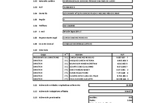 IST: Estados financieros individuales al 31 de diciembre de 2024