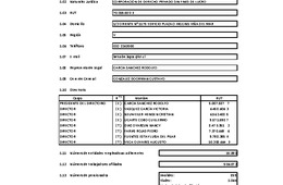 IST: Estados financieros individuales al 31 de diciembre de 2024