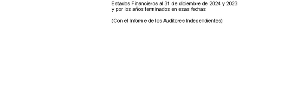 MUSEG CCHC: Estados financieros individuales al 31 de diciembre de 2024