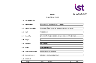 IST: Estados financieros individuales al 31 de marzo de 2025