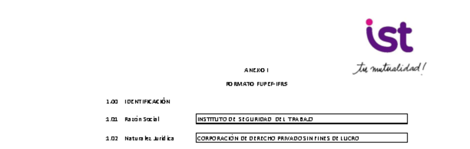 IST: Estados financieros individuales al 31 de marzo de 2025