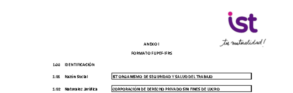 IST: Estados financieros individuales al 30 de junio de 2025