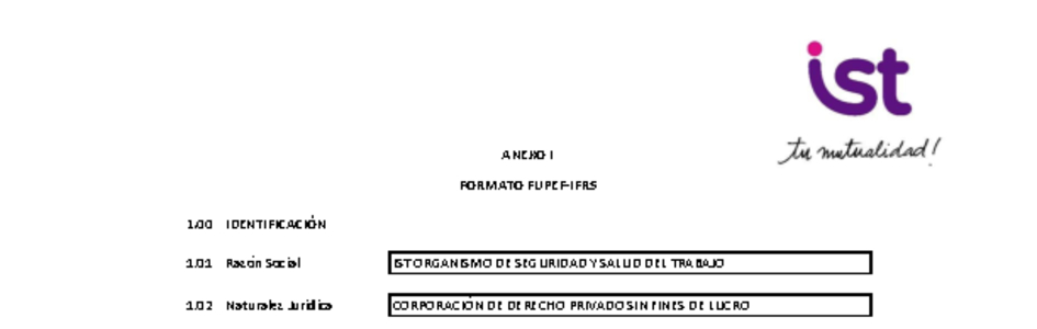 IST: Estados financieros individuales al 31 de diciembre de 2025
