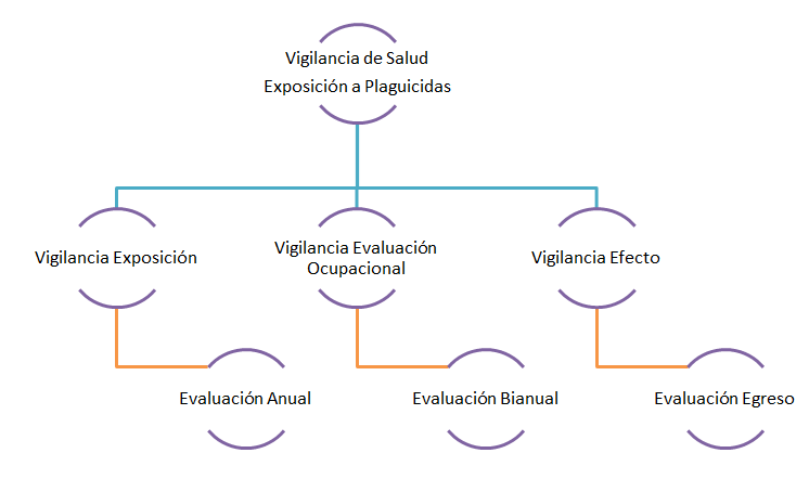Tipos de evaluaciones de salud por exposición a plaguicidas Tipos de evaluaciones de salud por exposición a plaguicidas
