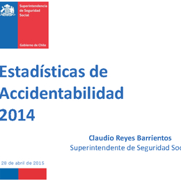Estadísticas de Accidentabilidad 2014 Estadísticas de Accidentabilidad 2014
