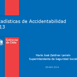 Estadísticas de Accidentabilidad 2013 Estadísticas de Accidentabilidad 2013