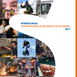 Memoria Anual del Sistema Nacional de Seguridad y Salud Laboral 2013