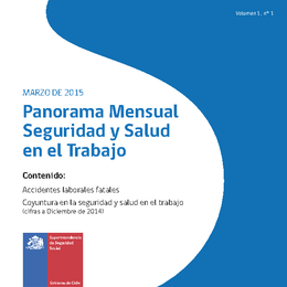Panorama Mensual Seguridad y Salud en el Trabajo marzo 2015