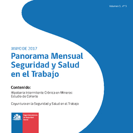 Panorama Mensual Seguridad y Salud en el Trabajo mayo 2017