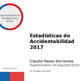 Estadísticas de Accidentabilidad 2017 Estadísticas de Accidentabilidad 2017