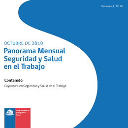 Panorama Mensual Seguridad y Salud en el Trabajo octubre 2018