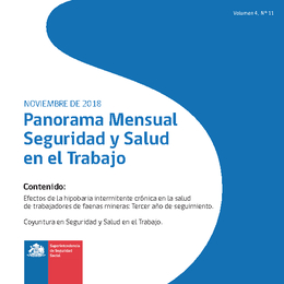 Panorama Mensual Seguridad y Salud en el Trabajo noviembre 2018