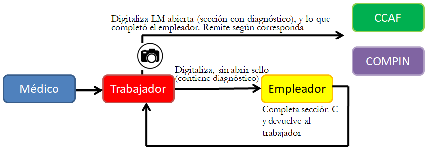 Esquema licencias medica papel Esquema licencias medica papel