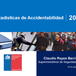 Estadísticas de Accidentabilidad 2019 Estadísticas de Accidentabilidad 2019
