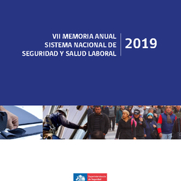 VII MEMORIA ANUAL SISTEMA NACIONAL DE SEGURIDAD Y SALUD LABORAL DEL AÑO 2020
