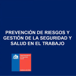 Prevención y sistemas de gestión Prevención y sistemas de gestión