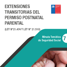 Minuta Temática de Seguridad Social: Extensiones transitorias del permiso postnatal parental