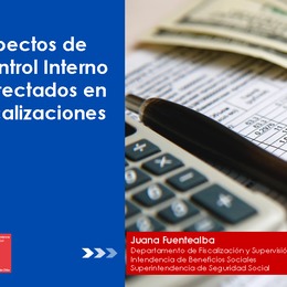 Aspectos de Control Interno detectados en fiscalizaciones