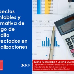 Aspectos contables y normativa de riesgo de crédito detectados en fiscalizaciones