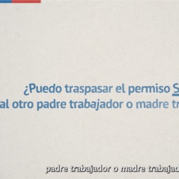 Cápsula 9: Traspaso del Permiso Sanna