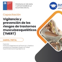 Vigilancia y prevención de trastornos musculoesqueléticos (TMERT)