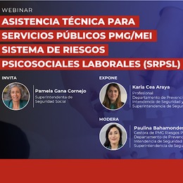 Asistencia técnica para Servicios Públicos PMG/MEI Sistema de Riesgos Psicosociales Laborales (SRPSL)