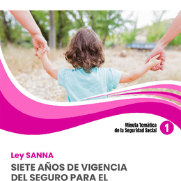 Minuta Temática de Seguridad Social N°1 - 2025