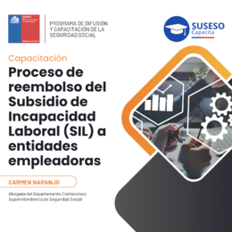 Proceso de reembolso SIL a Entidades Empleadoras