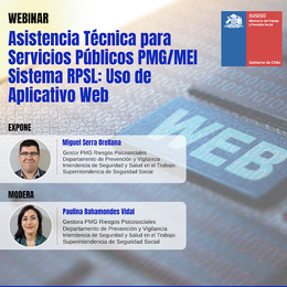 Asistencia Técnica para Servicios Públicos PMG/MEI Sistema RPSL: Uso de Aplicativo WEB